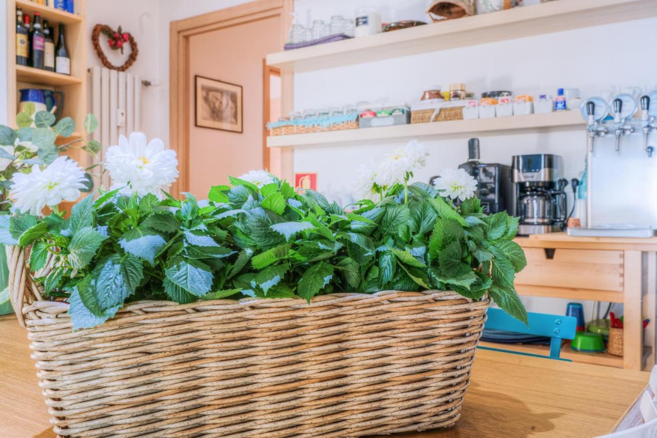 La Casa Sul Mare Bed & Breakfast Чивитавекия Екстериор снимка